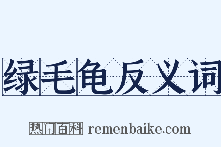 绿毛龟反义词是什么意思的图片